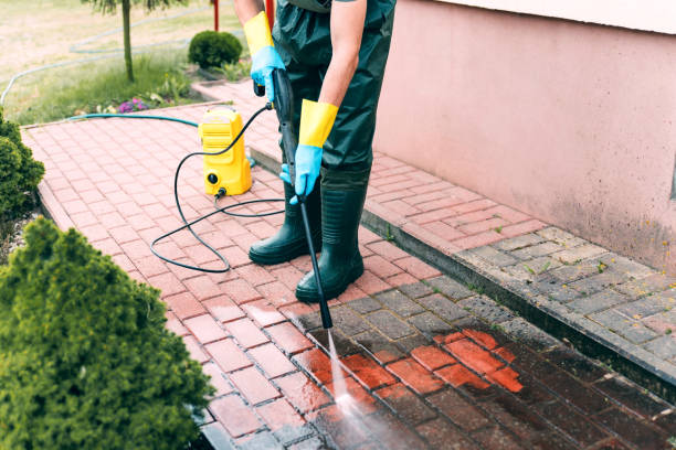 Best Solar Panel Cleaning  in Dickson, TN